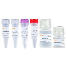 cDNA synthesis reagent kit11148ES series