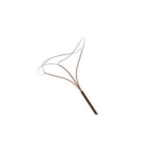 kidney stone extraction endoscopic basket