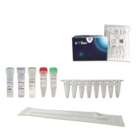 DNA polymerase reagent kitCW3130M