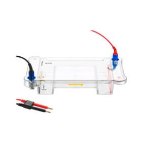 horizontal electrophoresis chamberBFEB-200