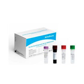 COVID-19 test kit