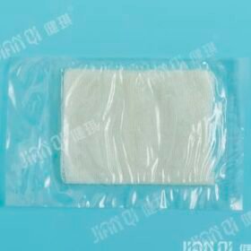 wound dressing20193141040