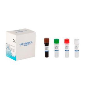 COVID-19 detection kit3822009020