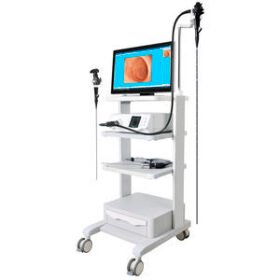 video veterinary bronchoscopeGU