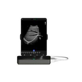 portable ultrasound systemCloud