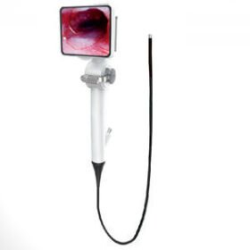 video veterinary bronchoscopeOneVet