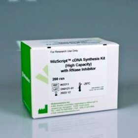 cDNA synthesis reagent kitWizScript™