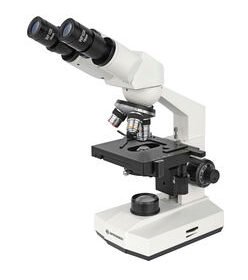 optical microscopeBasic Bino