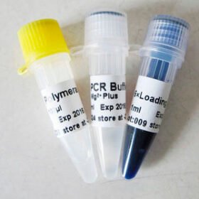 buffer solution reagentP1011 500U
