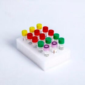 enzyme reagent kitK004-A