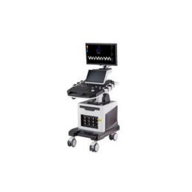 on-platform ultrasound systemT004