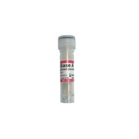enzyme reagentIFT-RA01