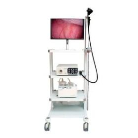 video veterinary gastroscopeVET-1508