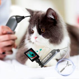 video veterinary otoscopeJZVet-CH