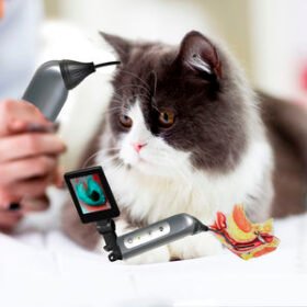 video veterinary otoscopeJZVet-EX