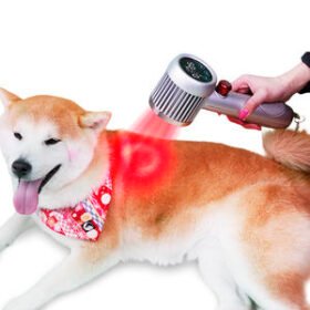 diode veterinary laserVET-CureS