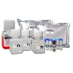 antibody reagent kitfB3 series