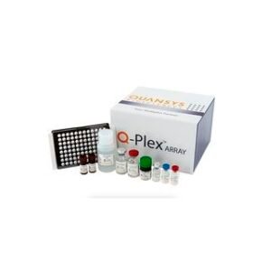 COVID-19 assay kitQ-Plex™
