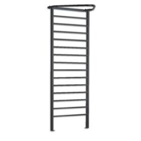 rehabilitation wall bars63100