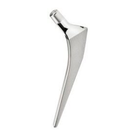 primary hip prosthesisExpersus