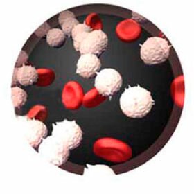 BCR-ABL mutation test kitRQ-105 series