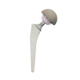 primary hip prosthesis