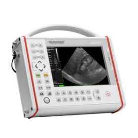 portable ultrasound systemFAST