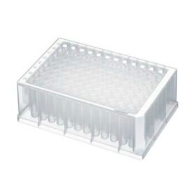 PCR microplate00305 series