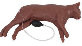 veterinary training manikinVET4880