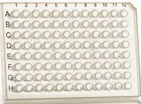 PCR microplateECPCR07 series