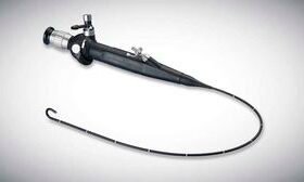 optical veterinary bronchoscope