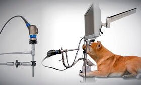 open surgery camera headVITOM® 25