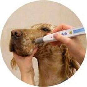veterinary biostimulation laser