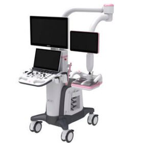 on-platform ultrasound systemIBUS 60