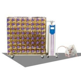 rodent veterinary cageIVC