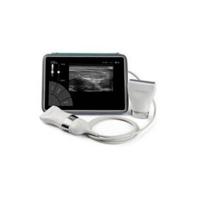 on-platform, tabletop ultrasound systemInVisus®