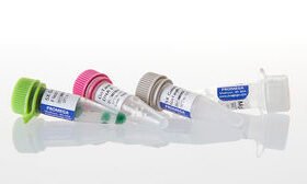DNA polymerase reagentGoTaq® G2 Flexi
