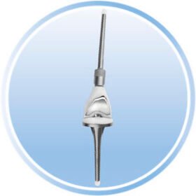 revision hip prosthesis