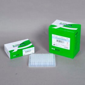 DNA polymerase reagent kitAccuPower®