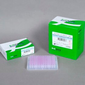 solution reagent kitAccuPower® CycleScript™