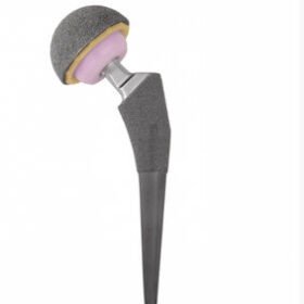 primary hip prosthesisLinear®