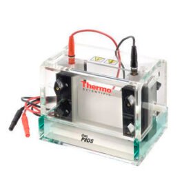 vertical electrophoresis chamberOwl™ Dual