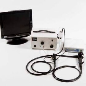 video veterinary gastroscopeVetscopeTM