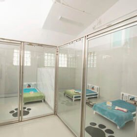 kennel veterinary cageSani-Kennels
