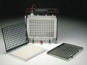 vertical electrophoresis chamberTE 62