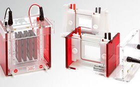 vertical electrophoresis chamberBiometra Eco-Mini