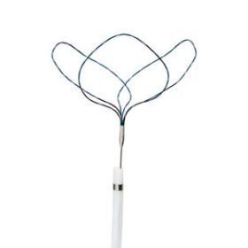 thrombus extraction endoscopic basketAtrieve™
