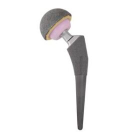 revision hip prosthesisLINEAR®