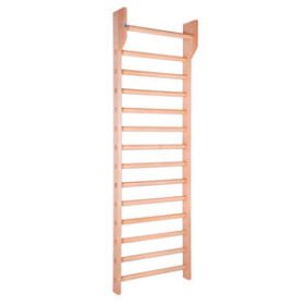 double rehabilitation wall bars10.FI.5045