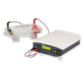 horizontal electrophoresis chamberENDURO™ 7.7